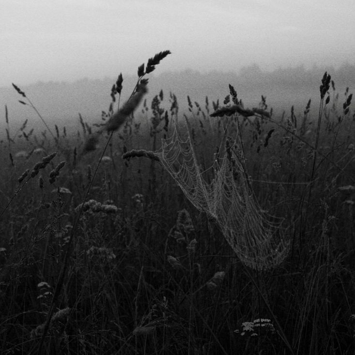Photo 141446