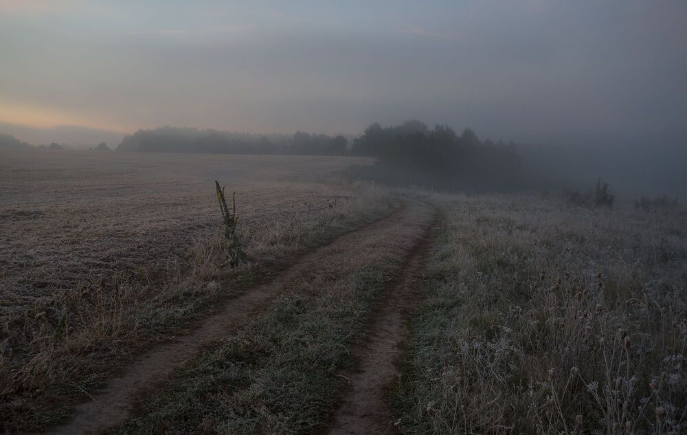 первые заморозки