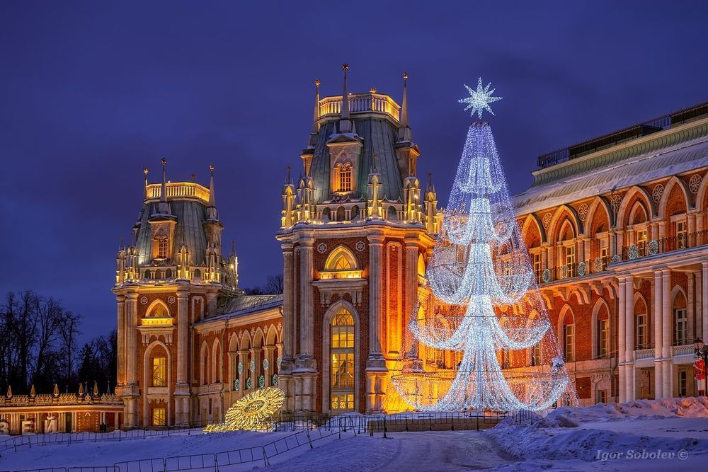 Новый год в Царицыно
