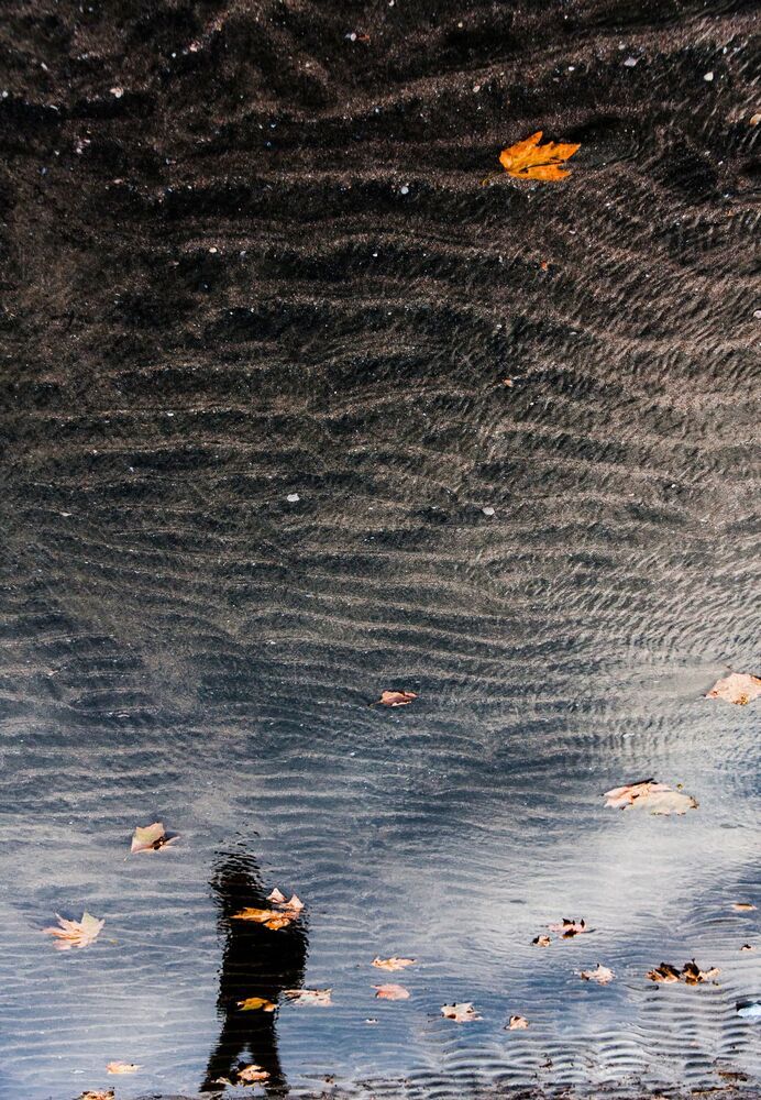 Photo 1410495