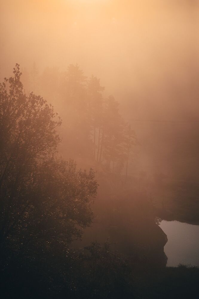 Photo 1412679