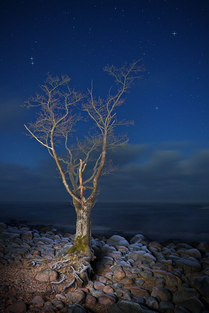 Photo 1412681