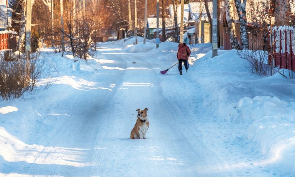 Эстетика деревенской зимы.