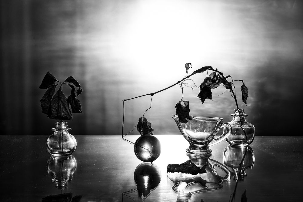 Photo 1413281