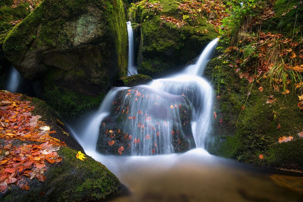 Professional Landscape Photographer