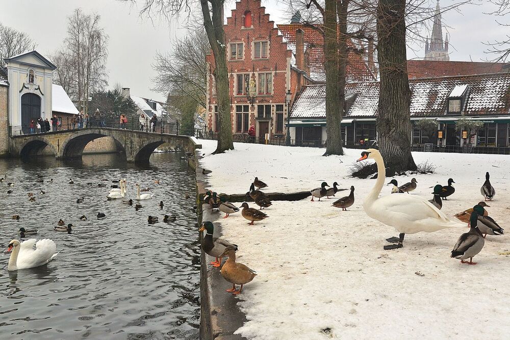 Winter in Bruges.