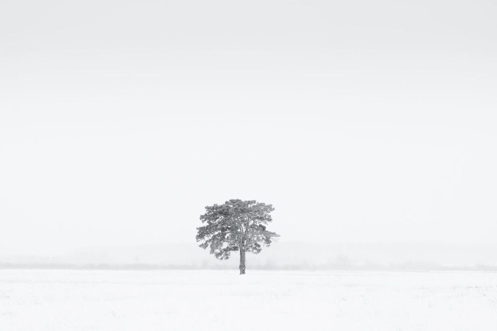 Photo 1419365