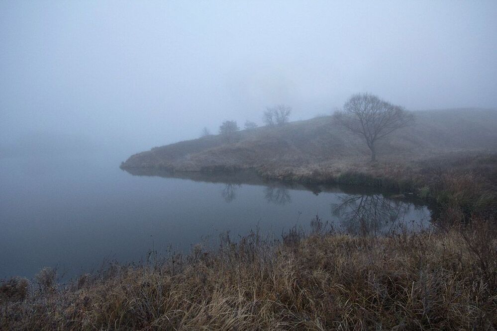 ЁЖИК В ТУМАНЕ