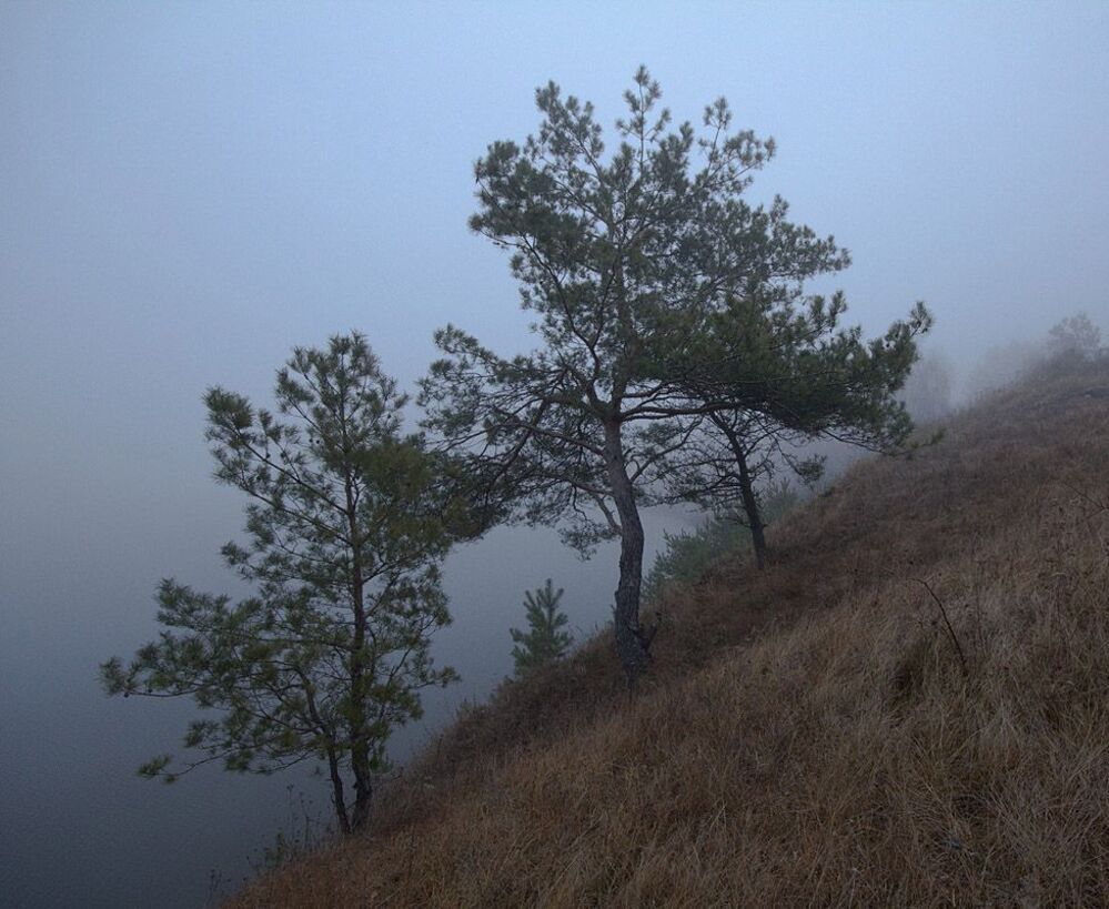 ЁЖИК В ТУМАНЕ