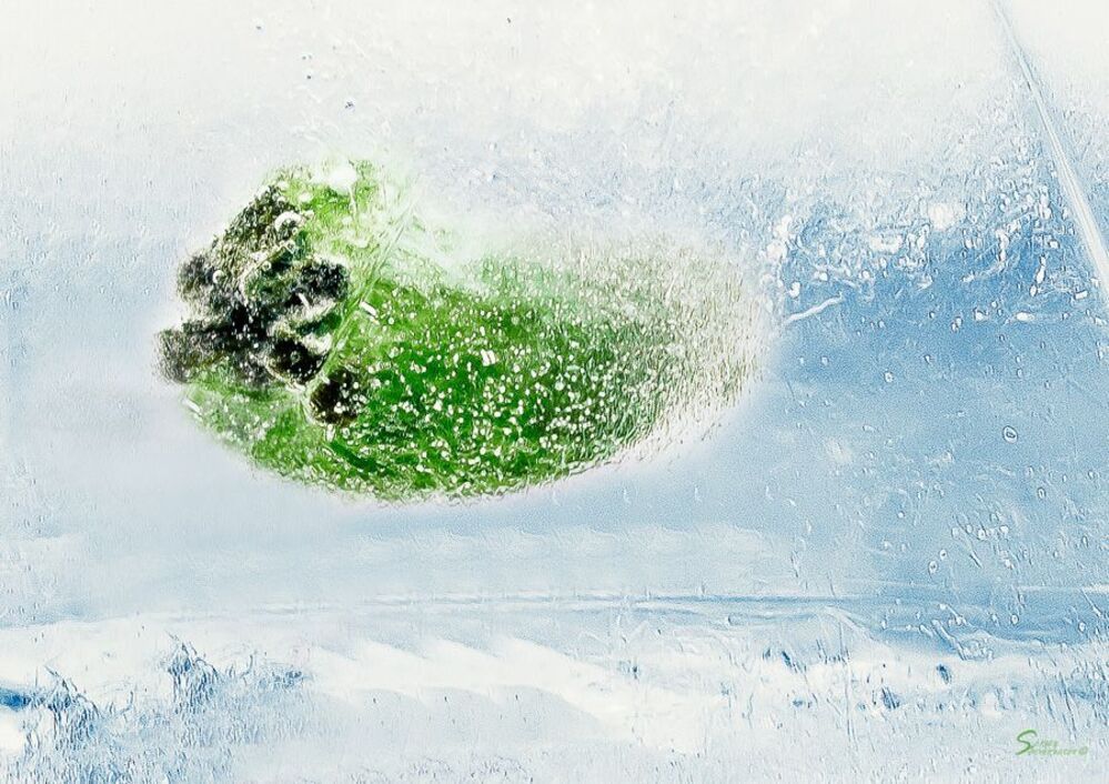 Ice