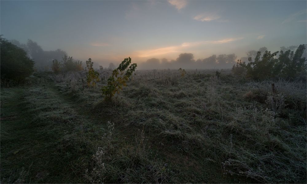 первые заморозки