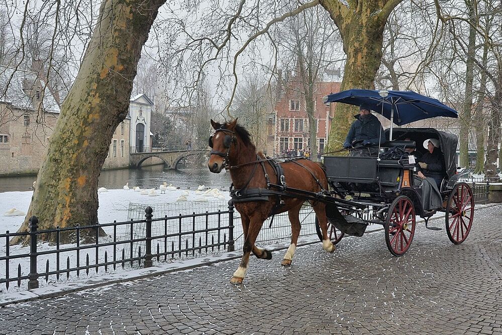 Winter in Bruges.