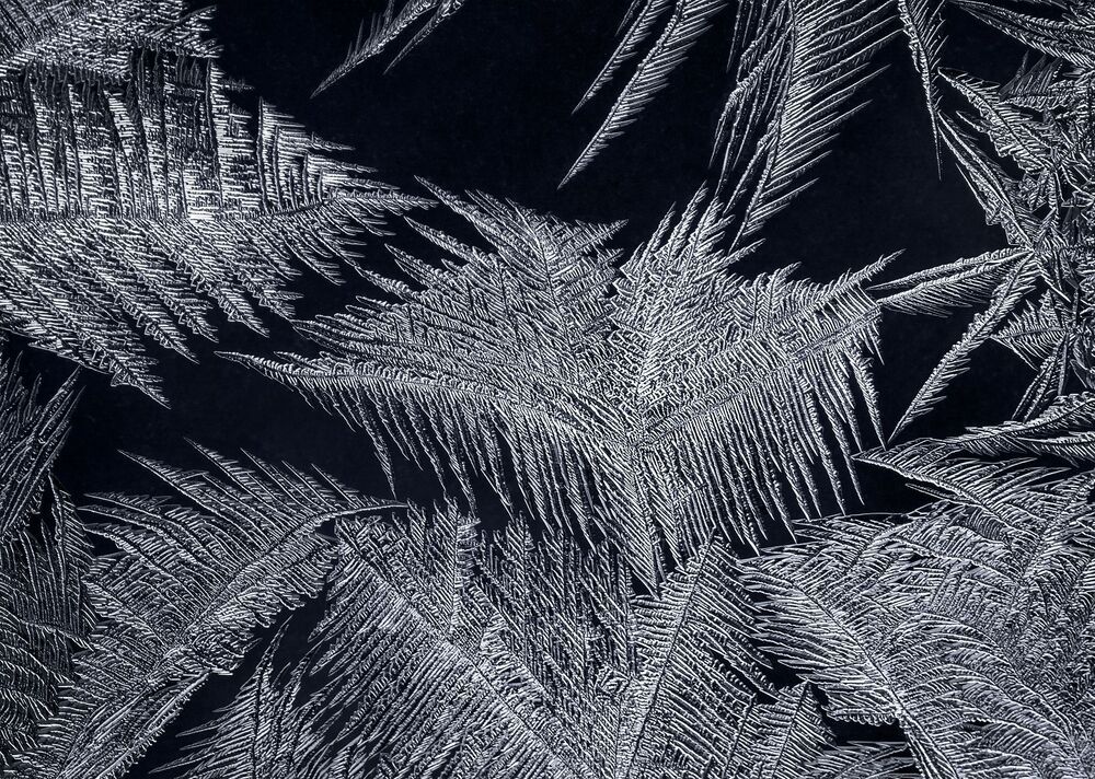 Зима в самом разгаре