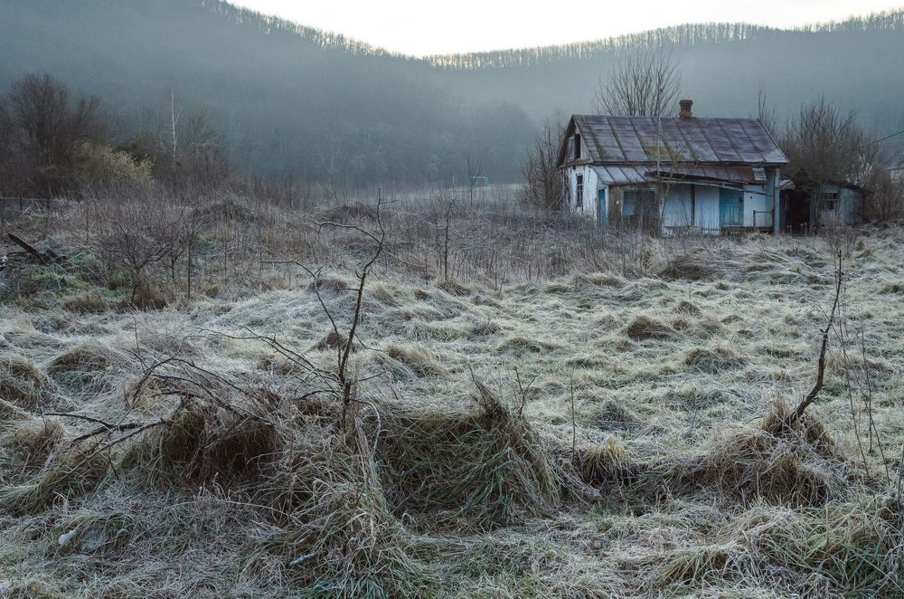 Январское утро в кубанской станице.