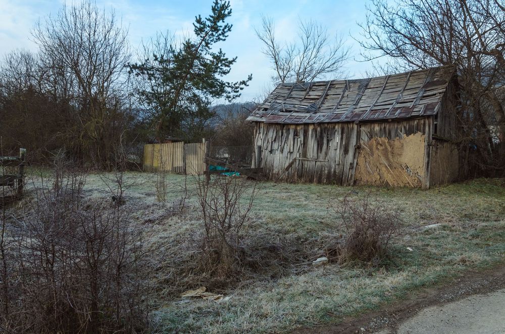 Январское утро в кубанской станице.