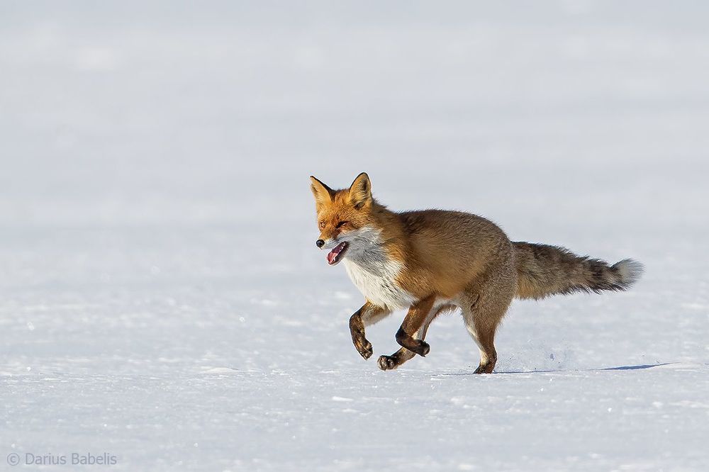 Photo 1422225