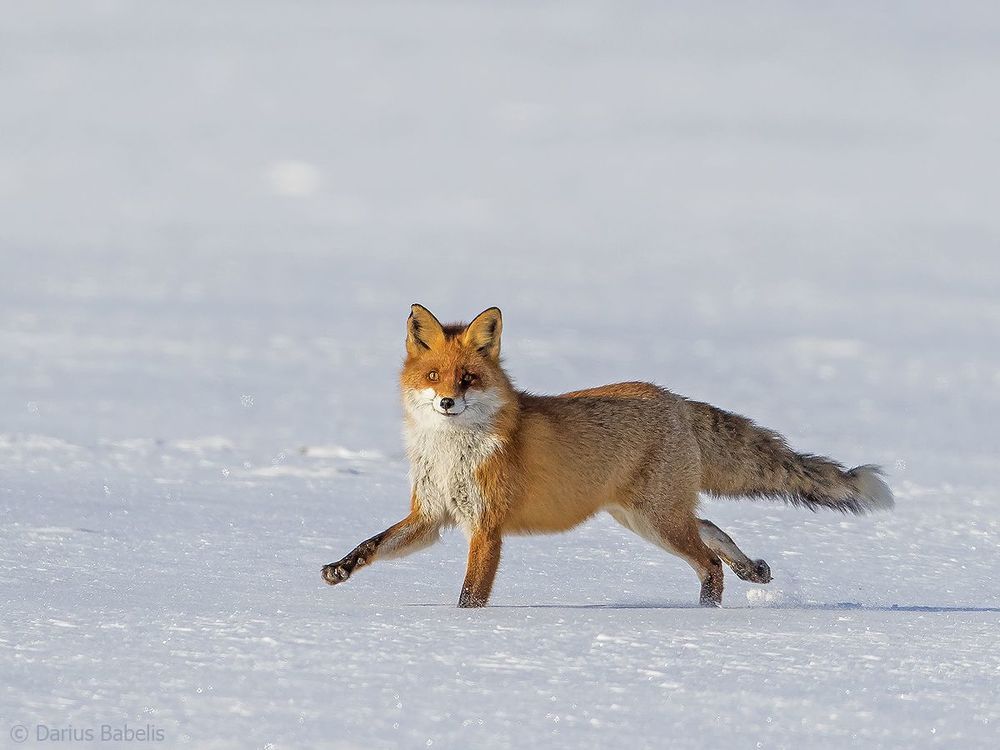 Photo 1422226