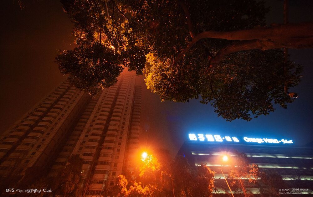 城市之光 Light of the city