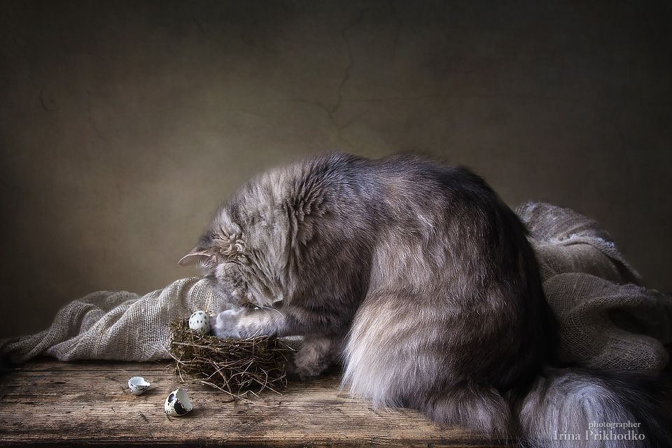 А у Масяни уже весна