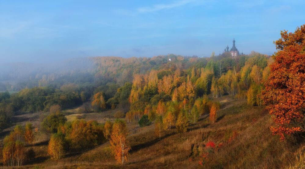Мягкий плед из желтых листьев.