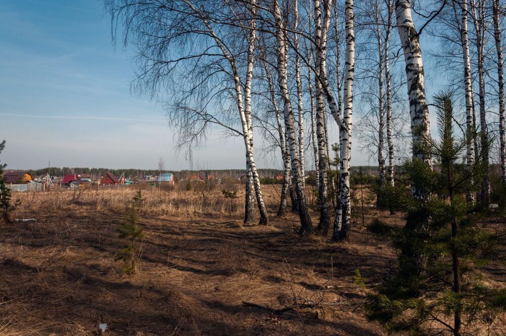 Весеннее настроение