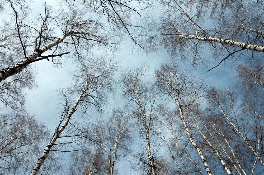 Весеннее настроение