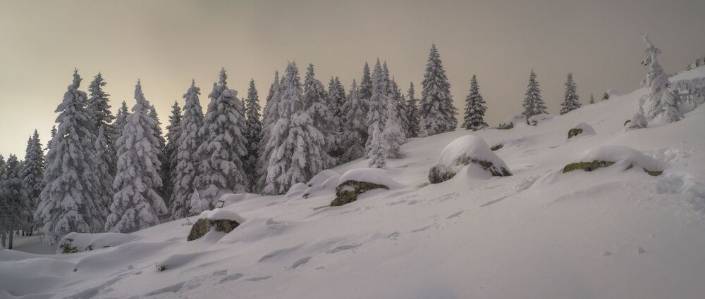 Замело