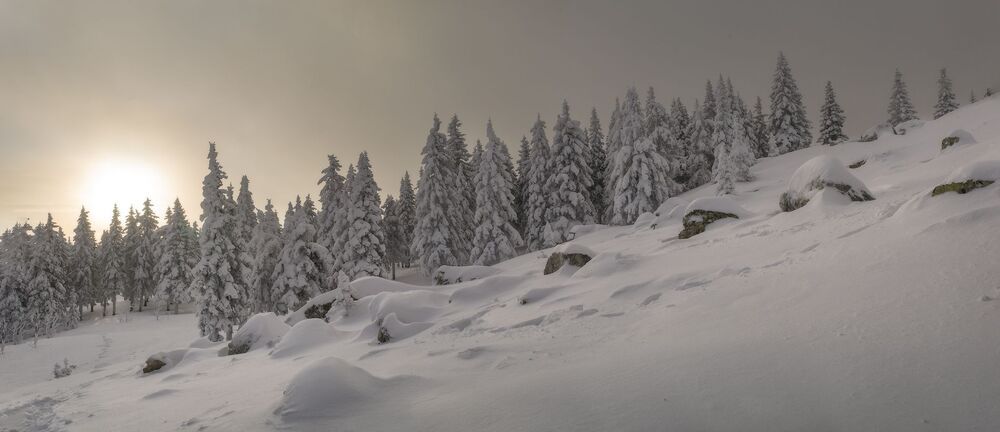 Замело