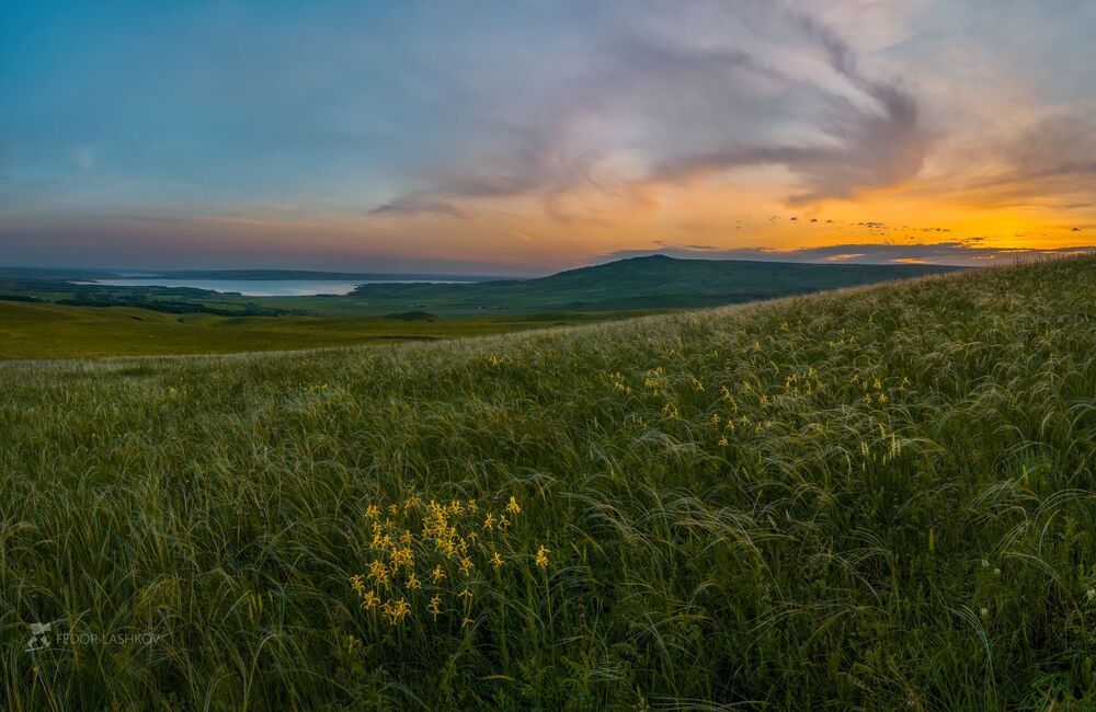 Степное раздолье.