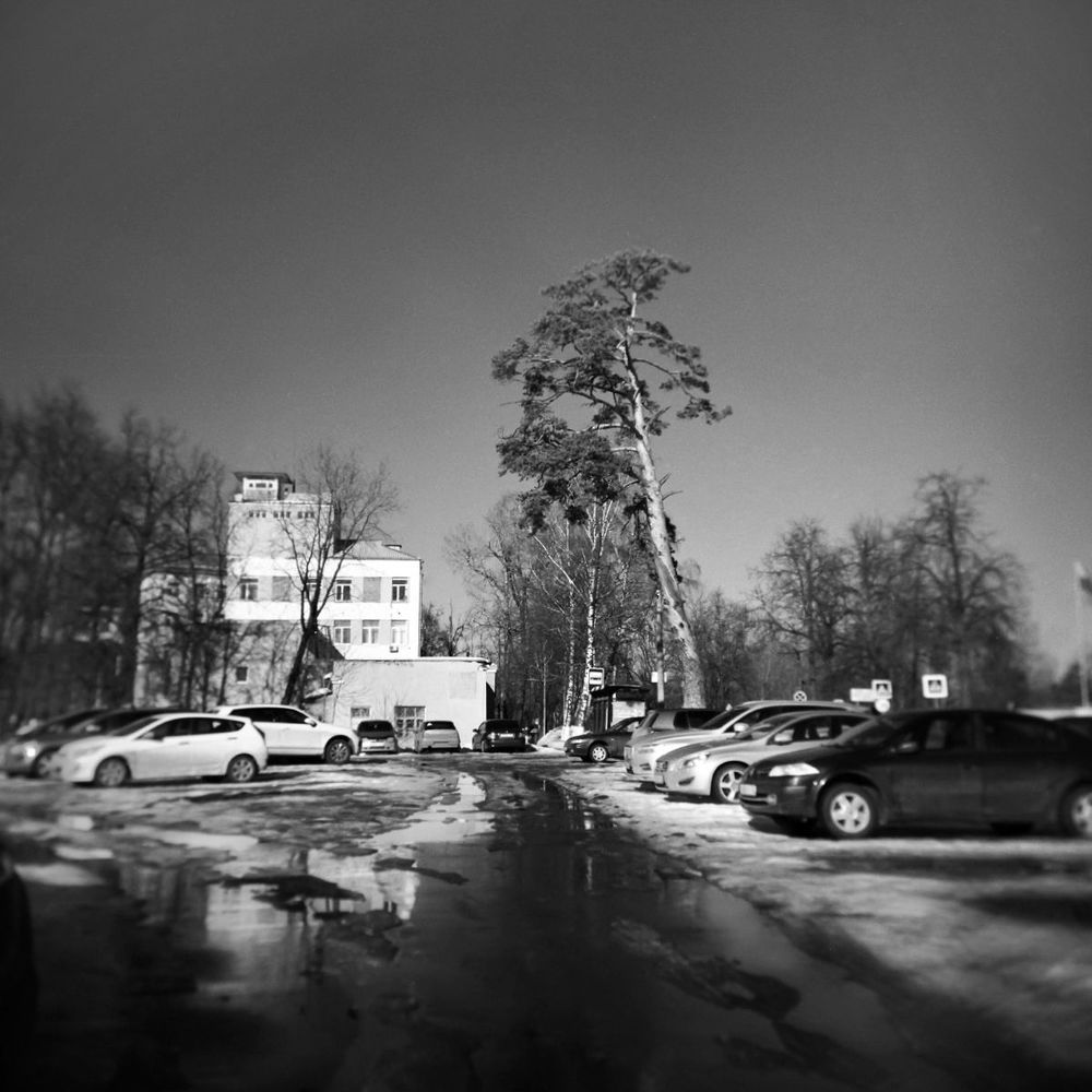 "Оттепель."