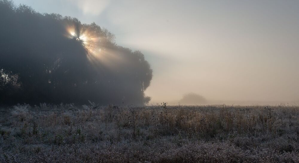 утро в басовкуте