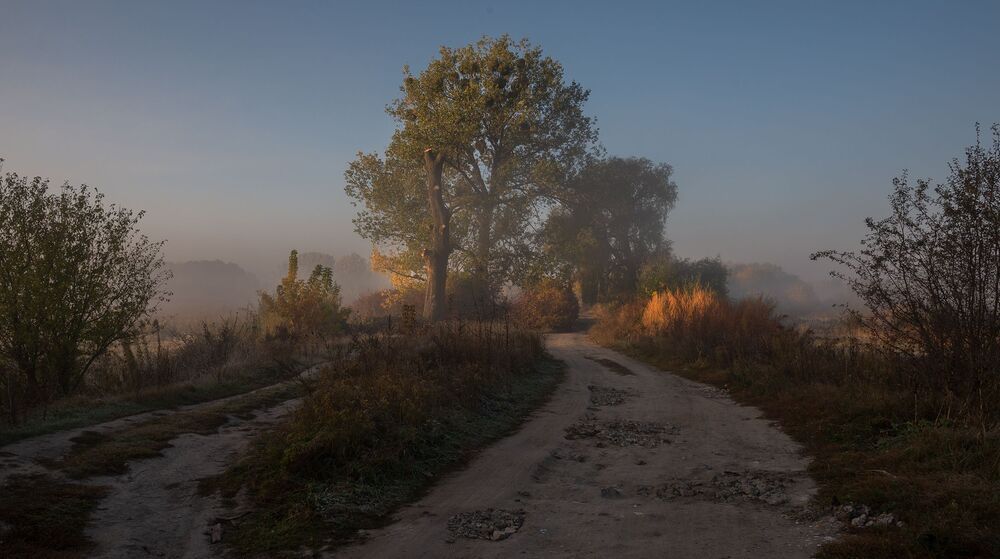утро в басовкуте