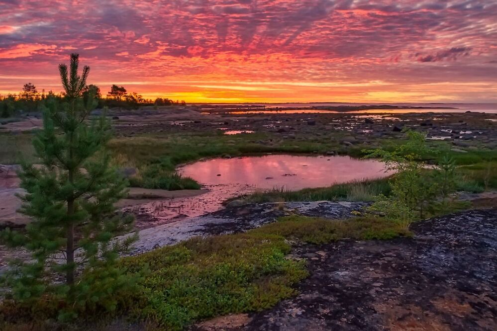 Краски Белого моря.