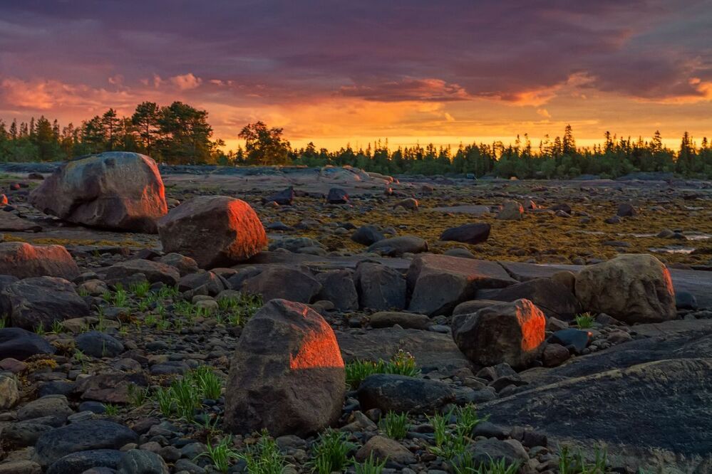 Краски Белого моря.