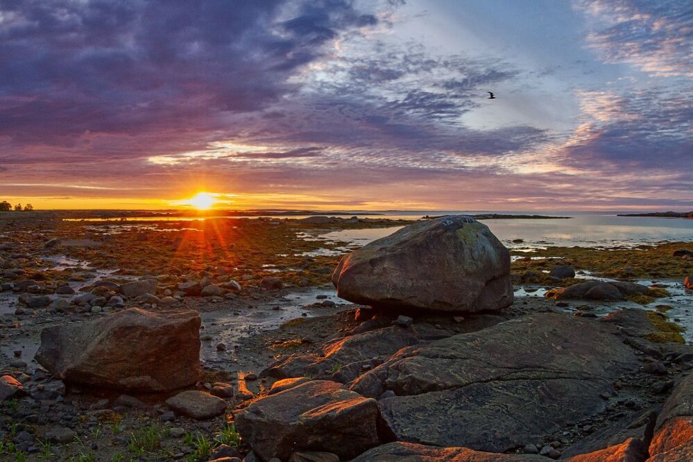 Краски Белого моря.
