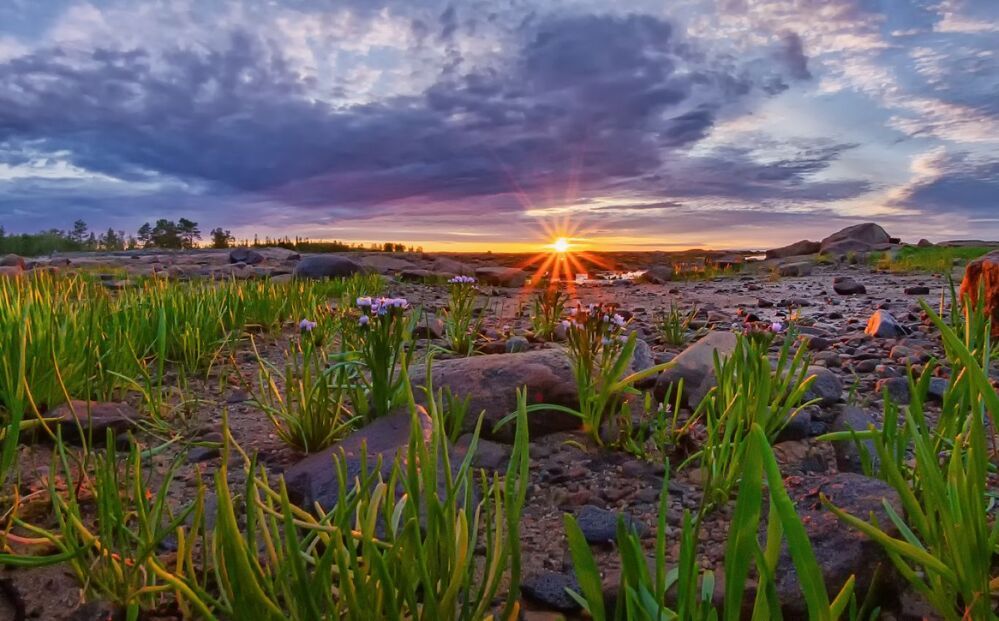 Краски Белого моря.