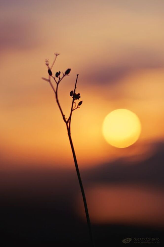 Conversaci&oacute;n con el sol