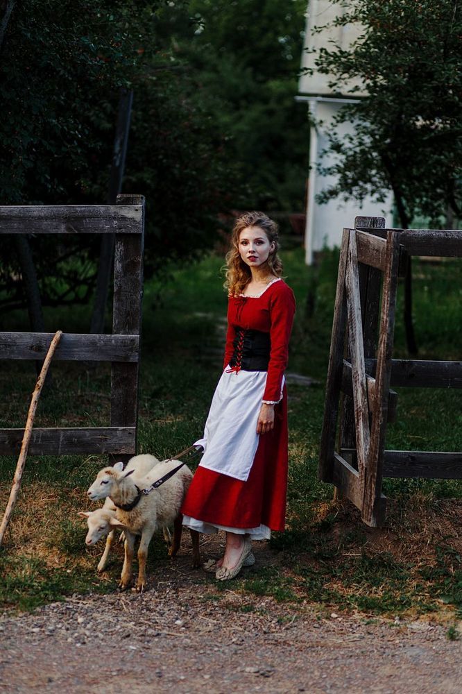 Алиса и ягнята