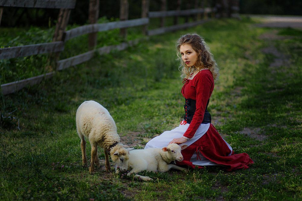 Алиса и ягнята