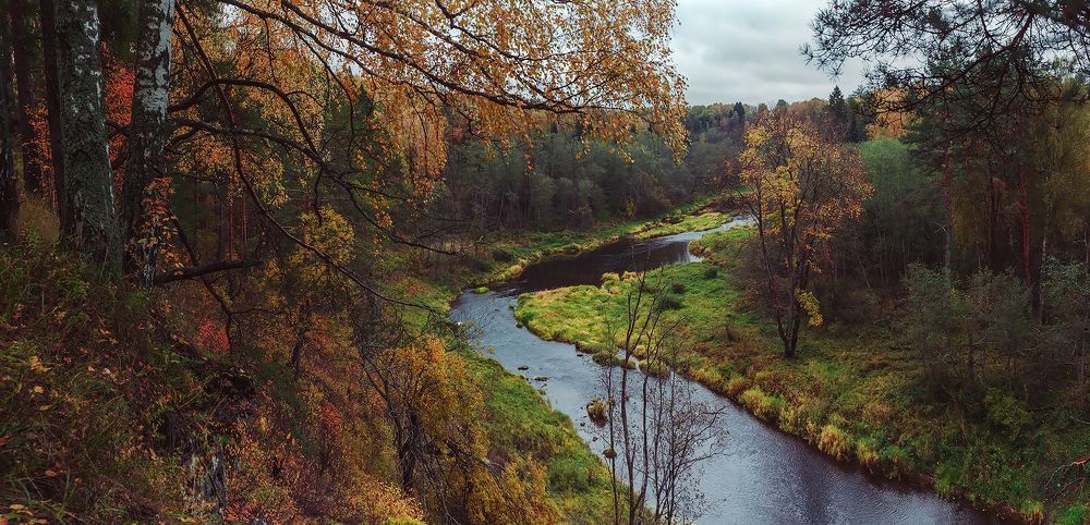 Photo 1446782