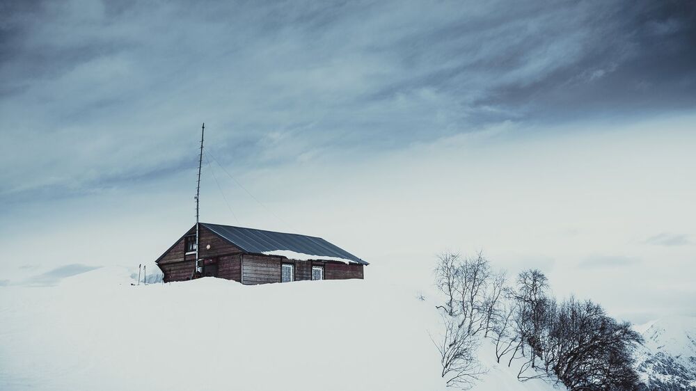 Photo 1450565