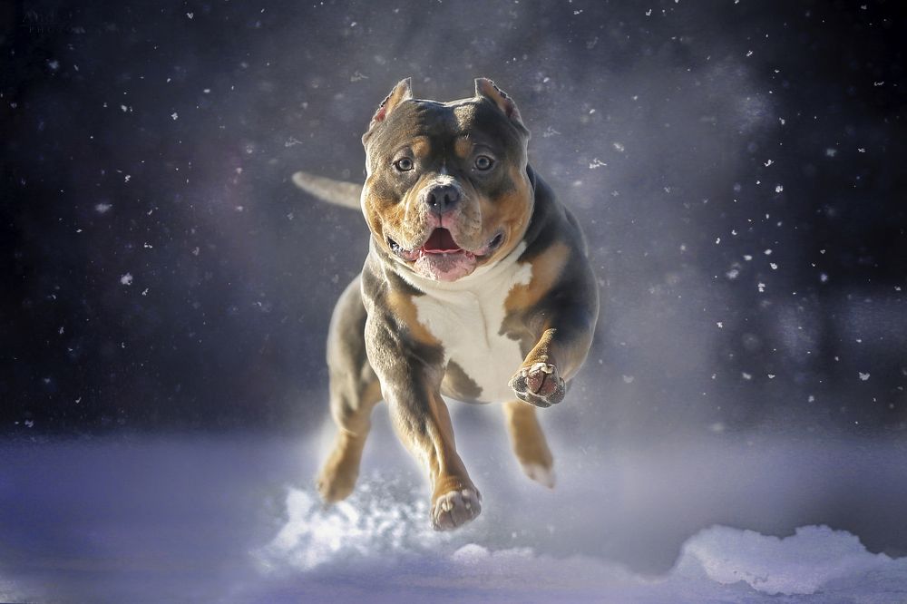 Жизнь в движении
