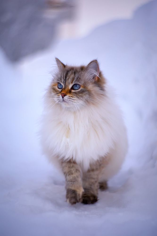На дворе была зима
