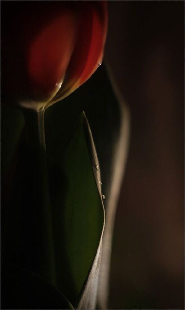 Nature..