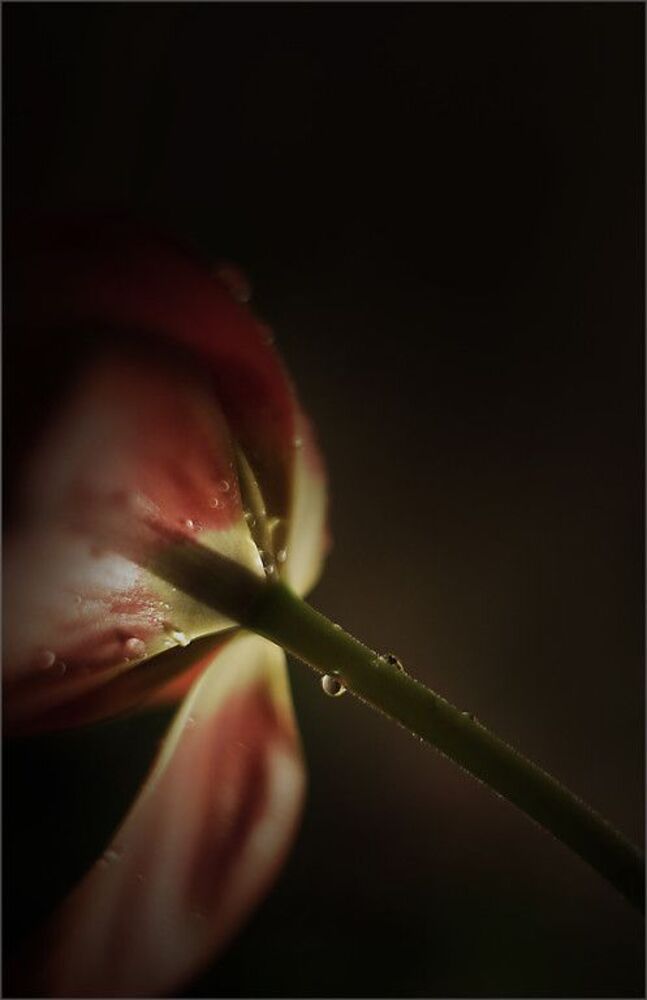 Nature..