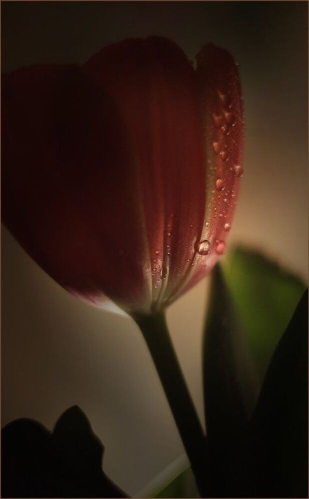 Nature..