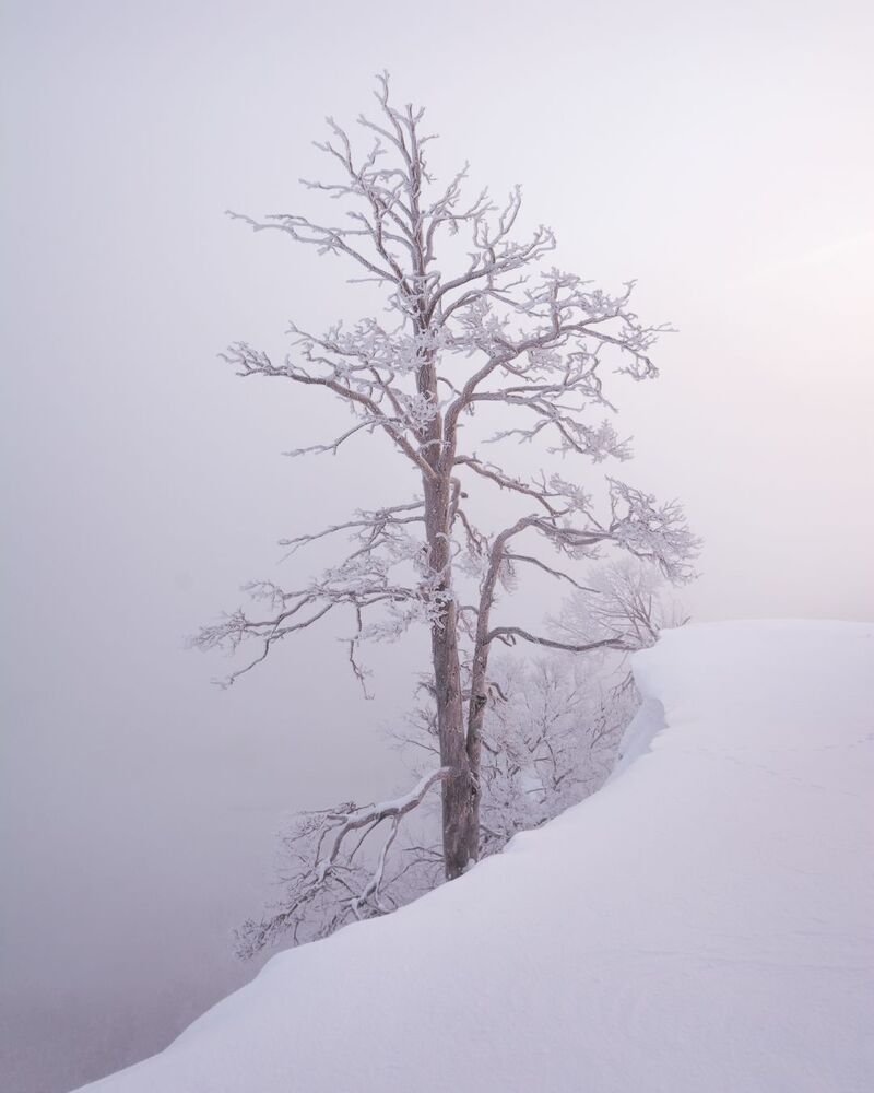 Photo 1455367