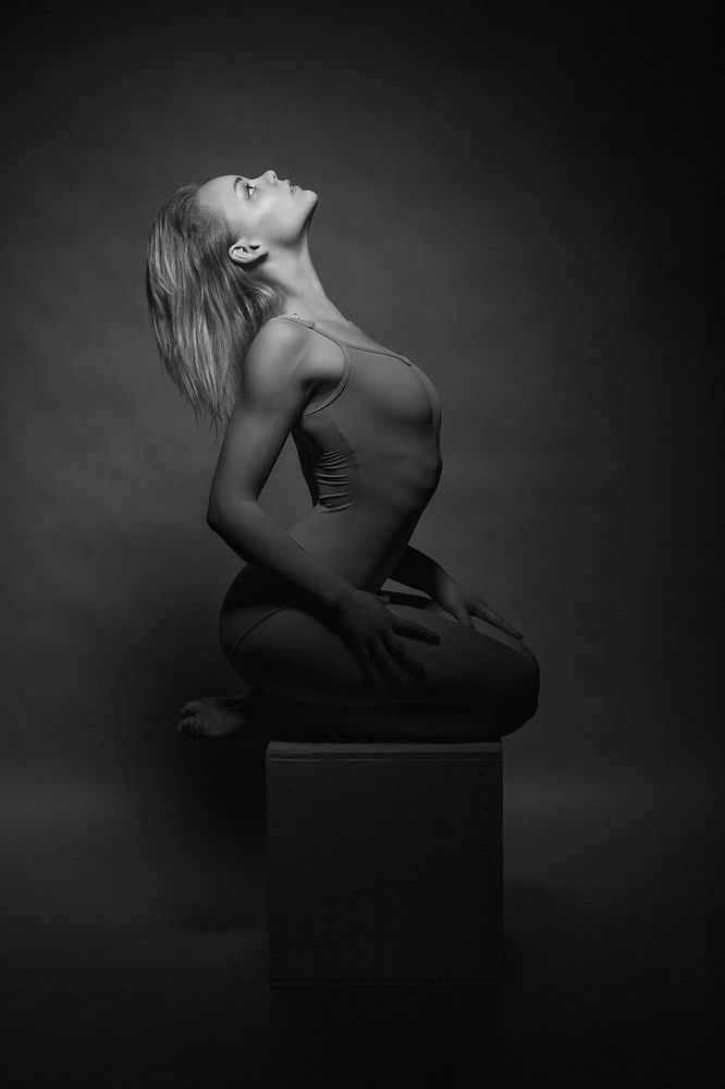 Photo 1455407