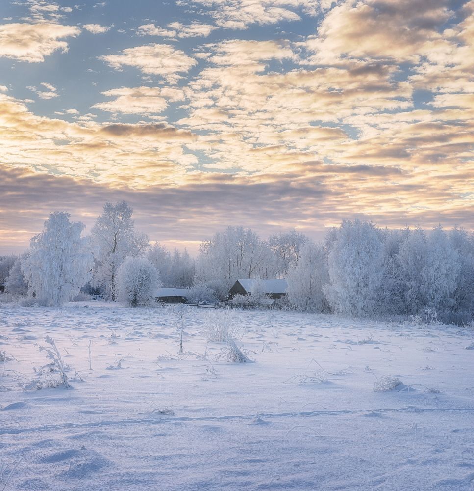 Зефирная зима