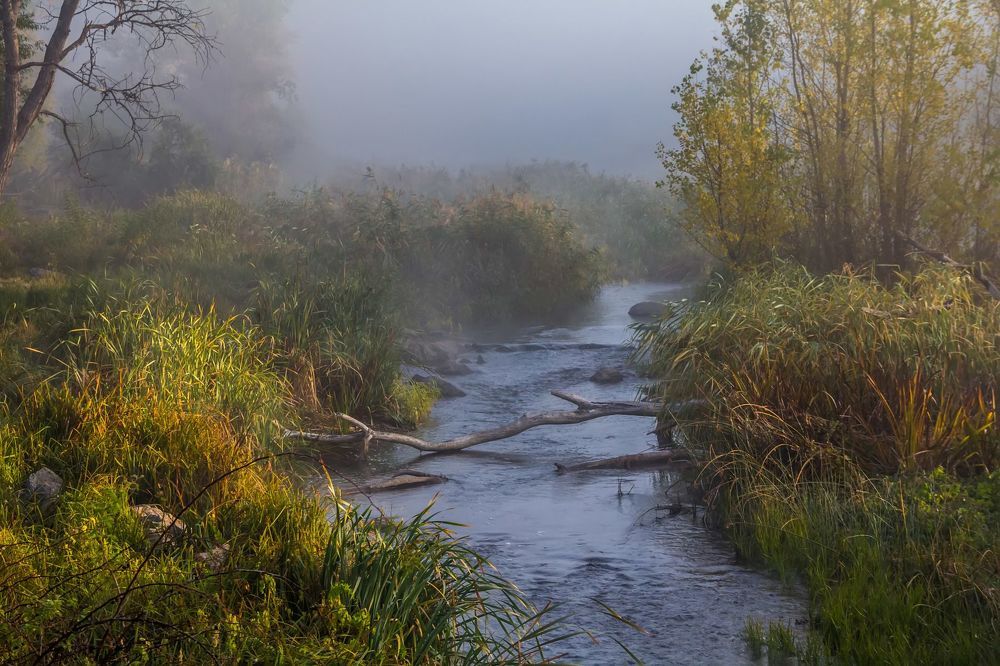 Photo 1457543